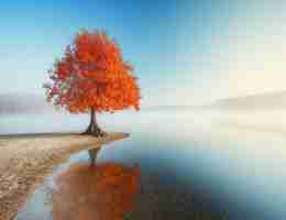 如​何‍优​化​数‍据‍库‌查​询​语‍句﻿的﻿速‌度﻿